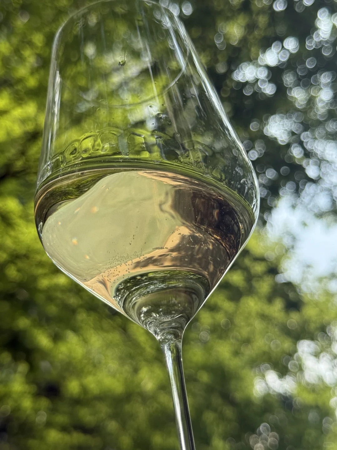 我把日光装进了酒杯~