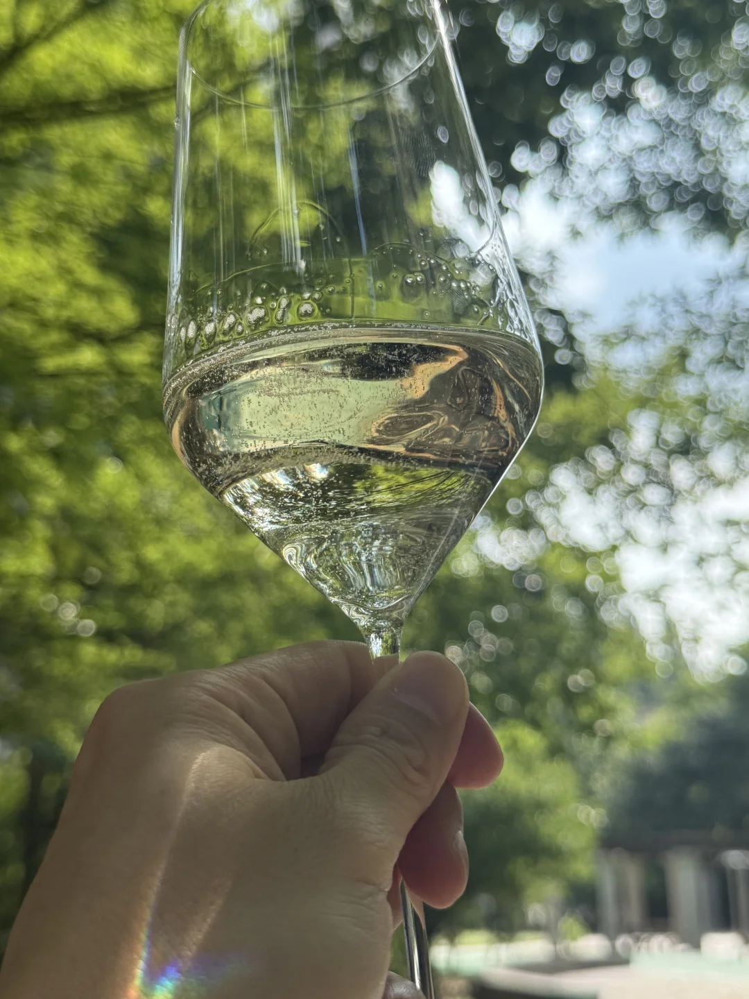 我把日光装进了酒杯~