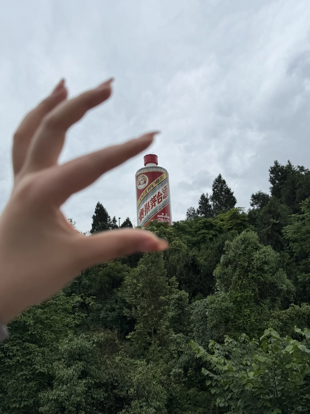 小小茅台 拿捏?