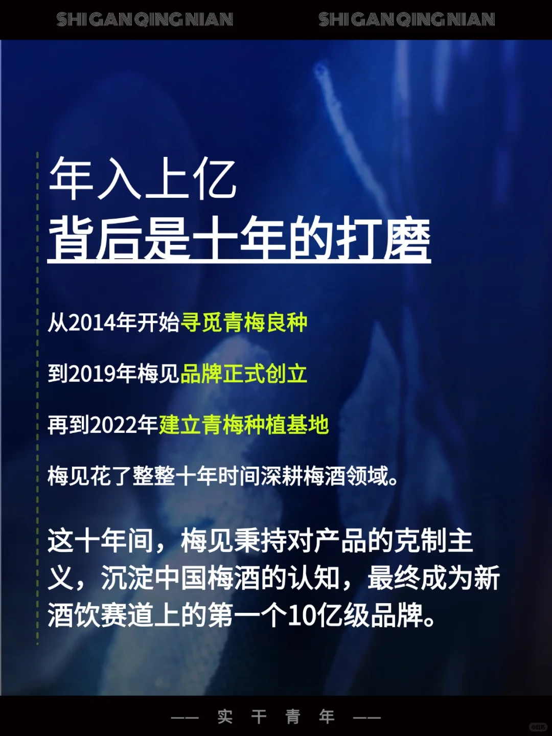 从黑马变白马，梅见青梅酒怎么迅速崛起的？