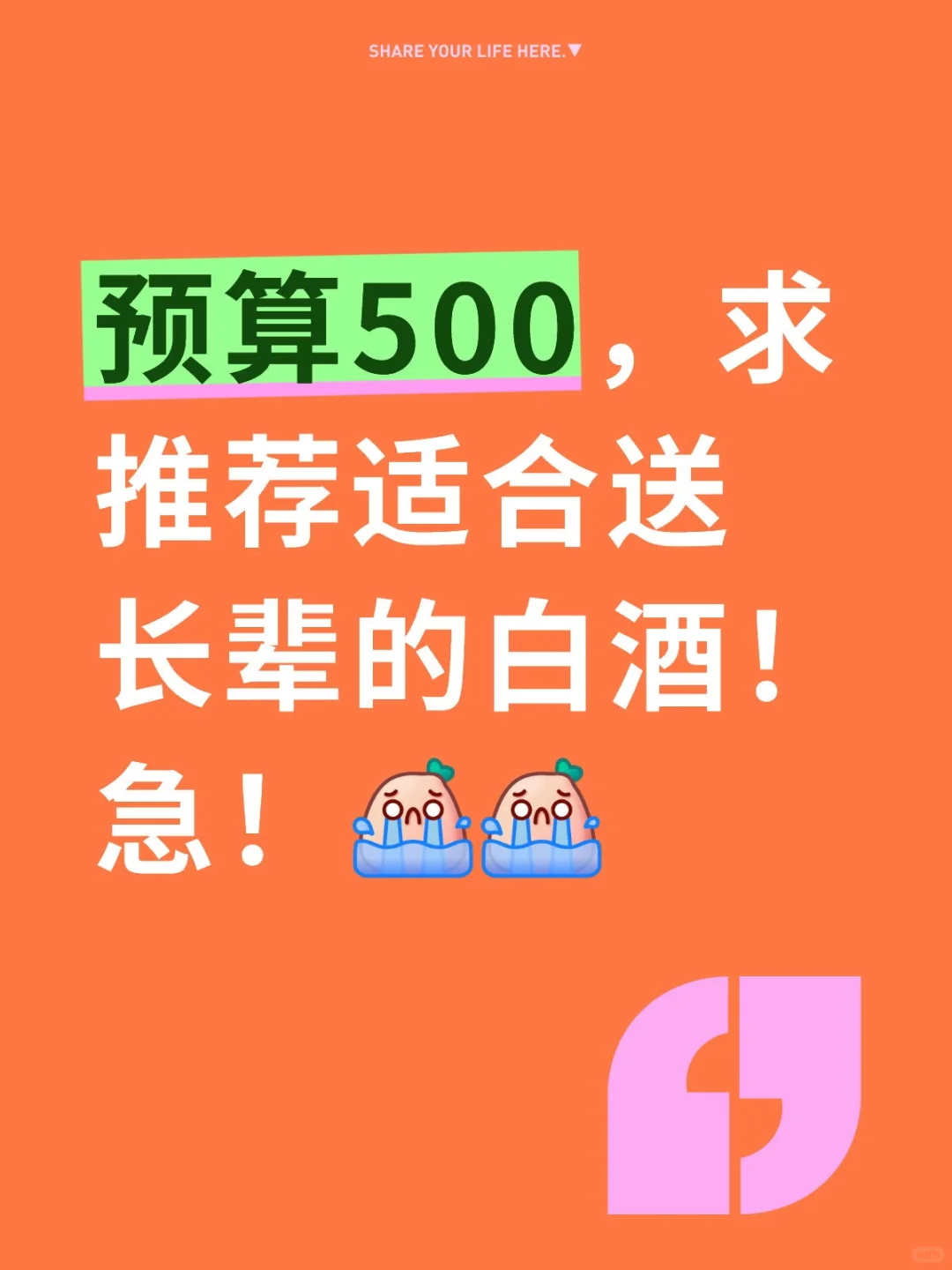 求助一下万能网友们