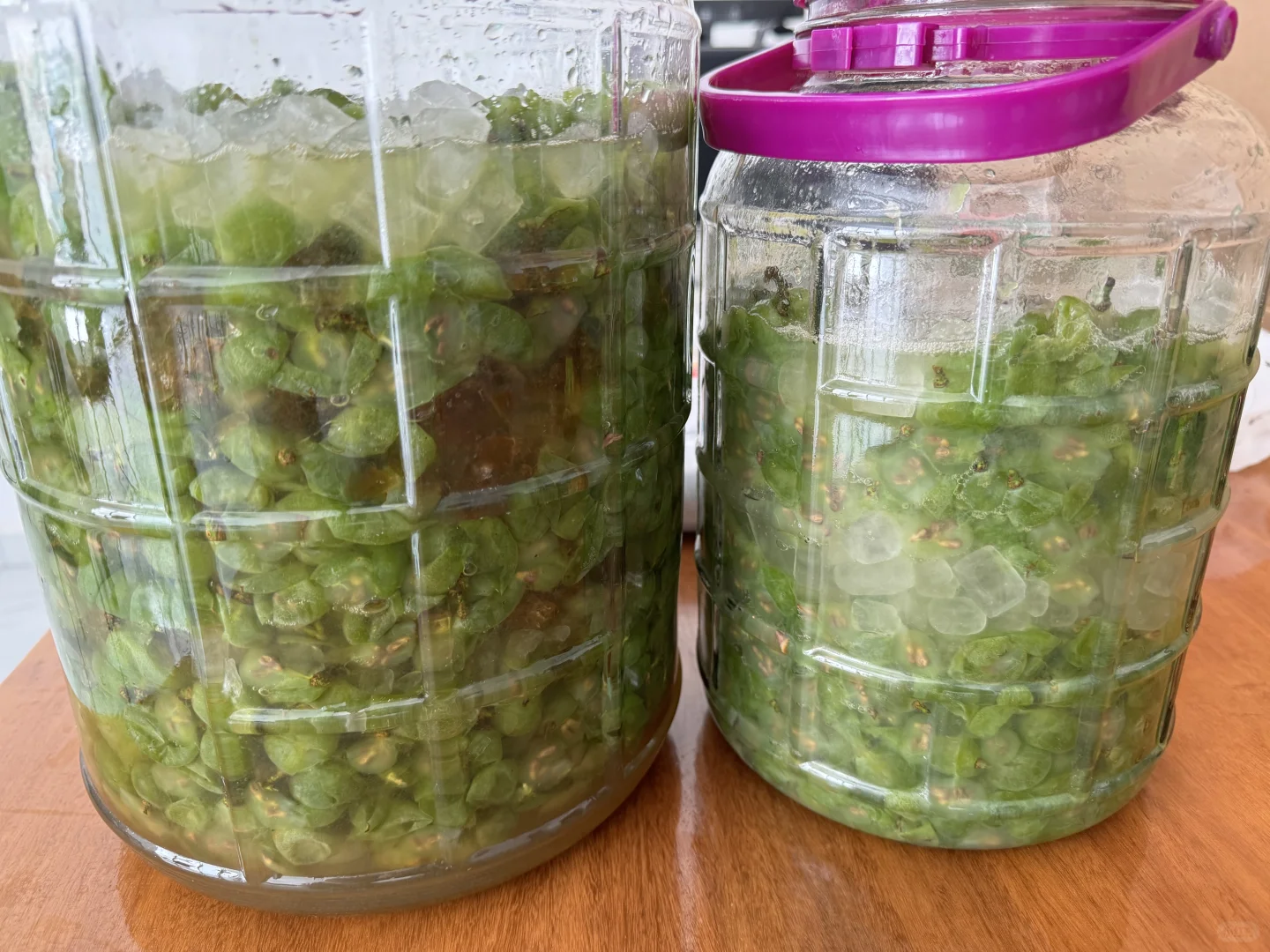 尝试自酿白葡萄酒，半个月后看是否翻车