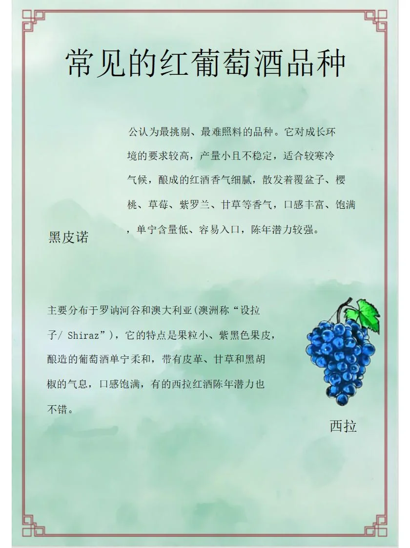 红酒就是葡萄酒吗？