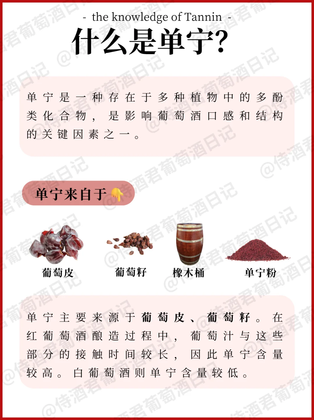 吐血整理❗ 葡萄酒入门看这篇就够‼️超全