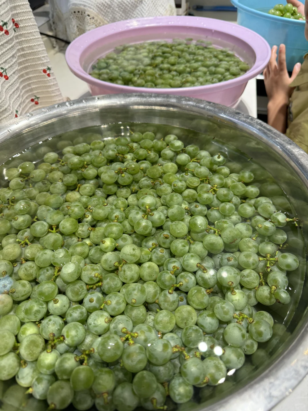 尝试自酿白葡萄酒，半个月后看是否翻车