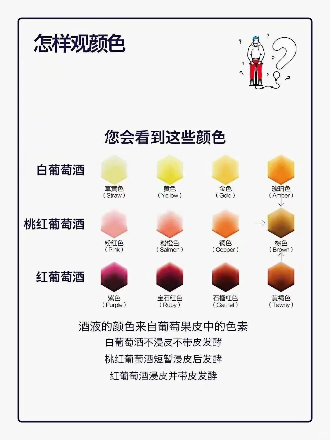 如何观察葡萄酒的颜色？?