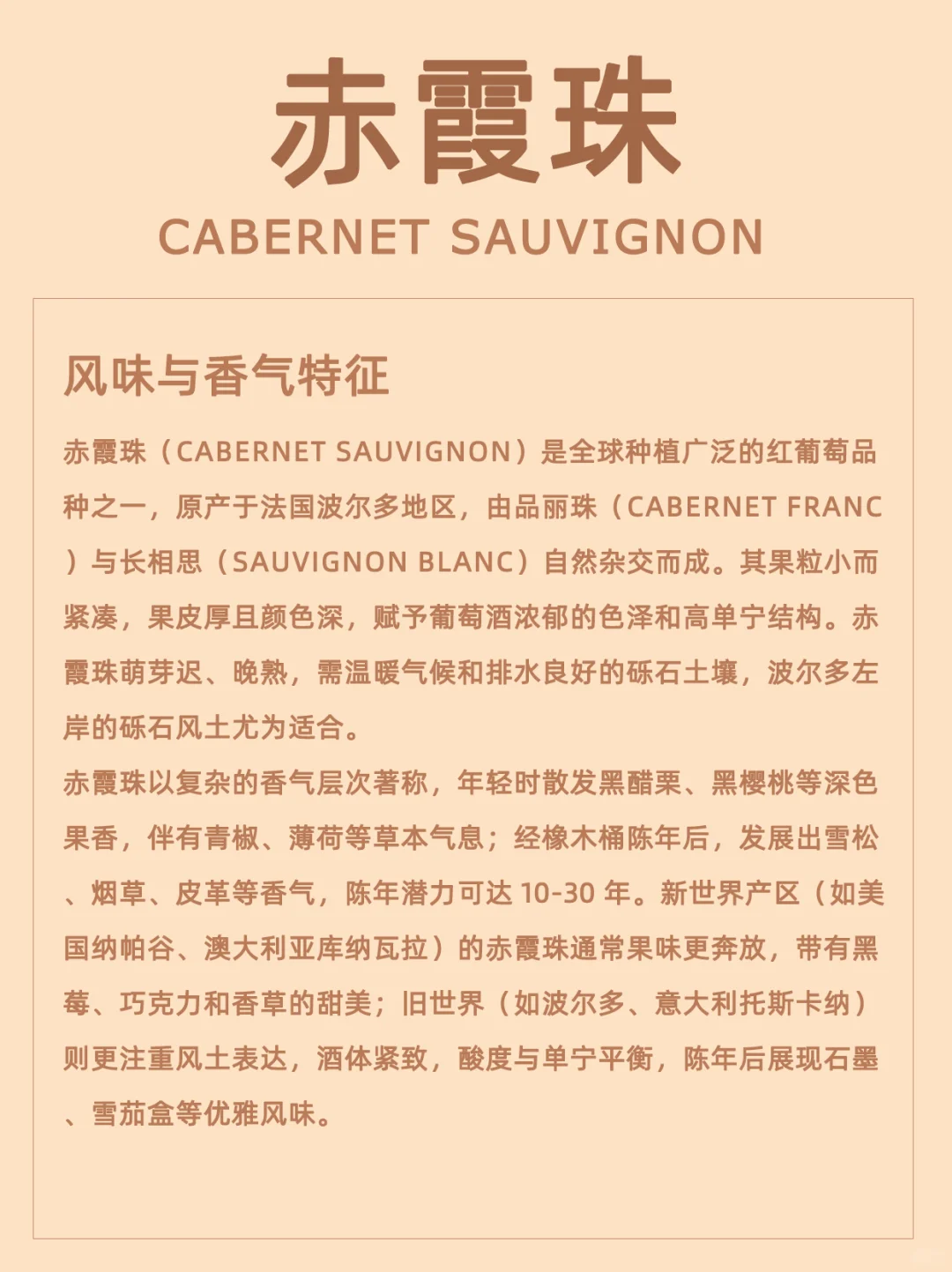 赤霞珠 | 葡萄品种介绍
