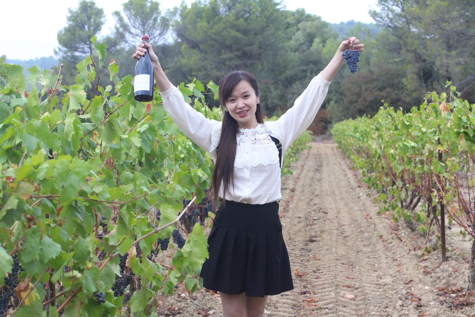 葡萄酒专业知识