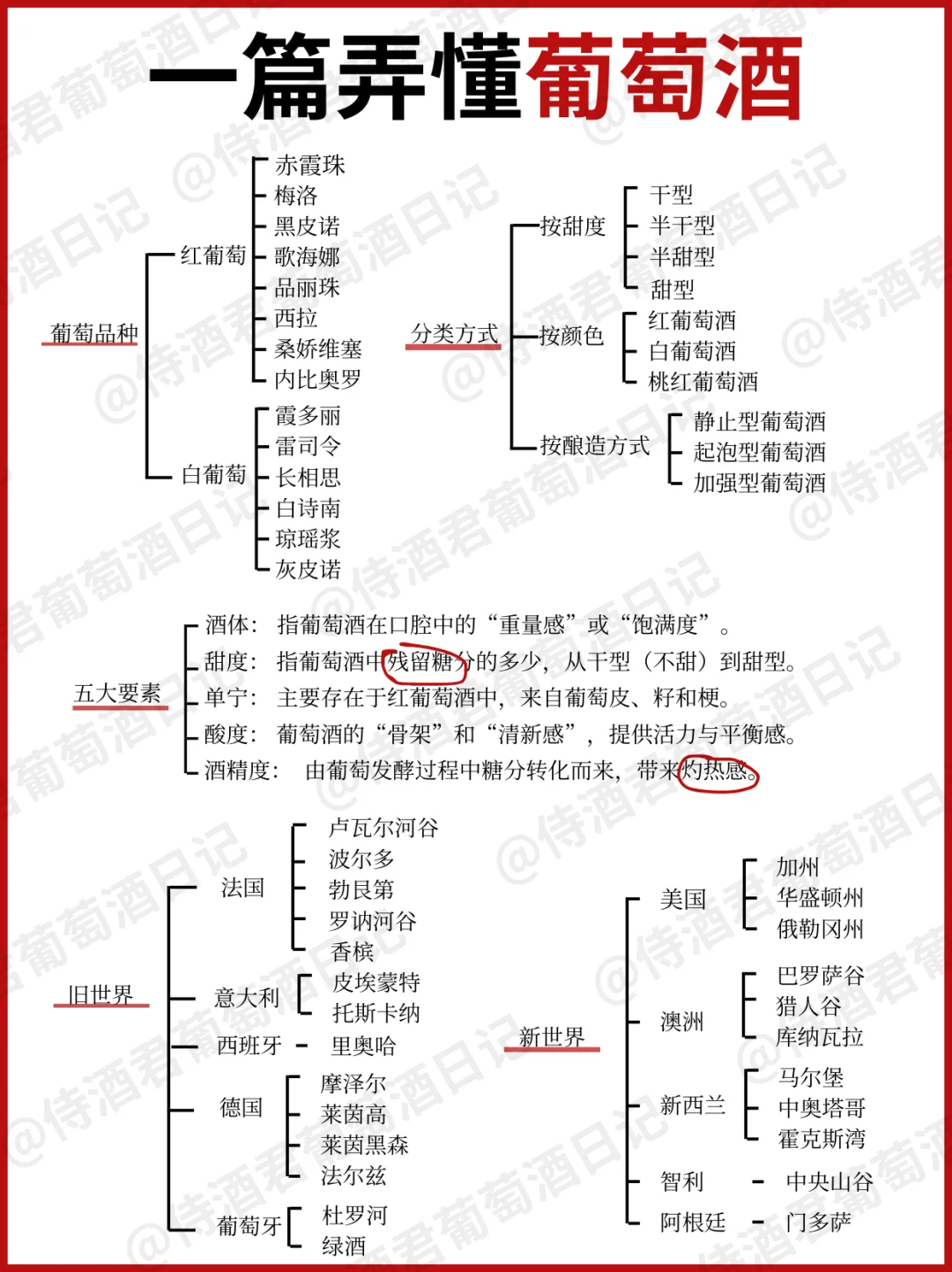吐血整理❗ 葡萄酒入门看这篇就够‼️超全