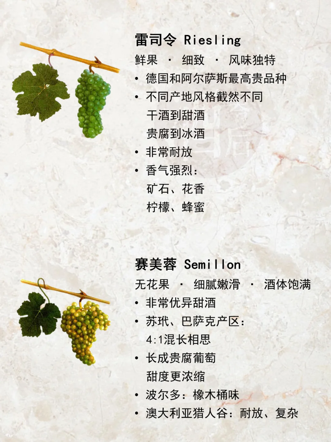 一图解读|世界15种著名酿酒葡萄品种?