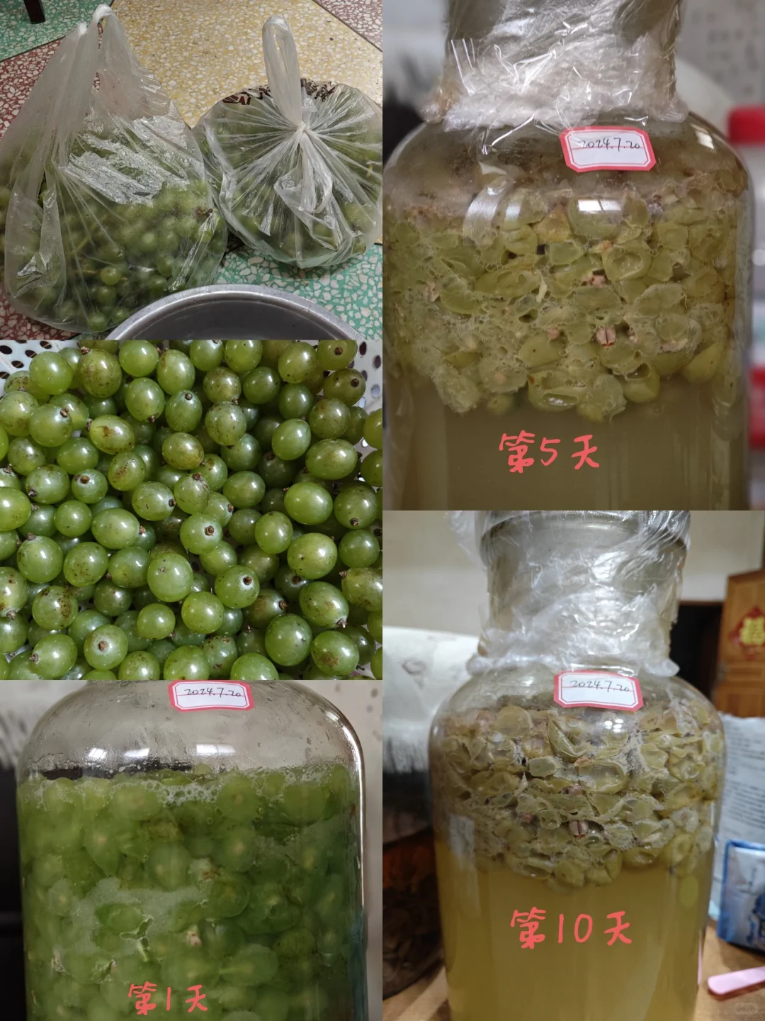 自制青皮葡萄酒