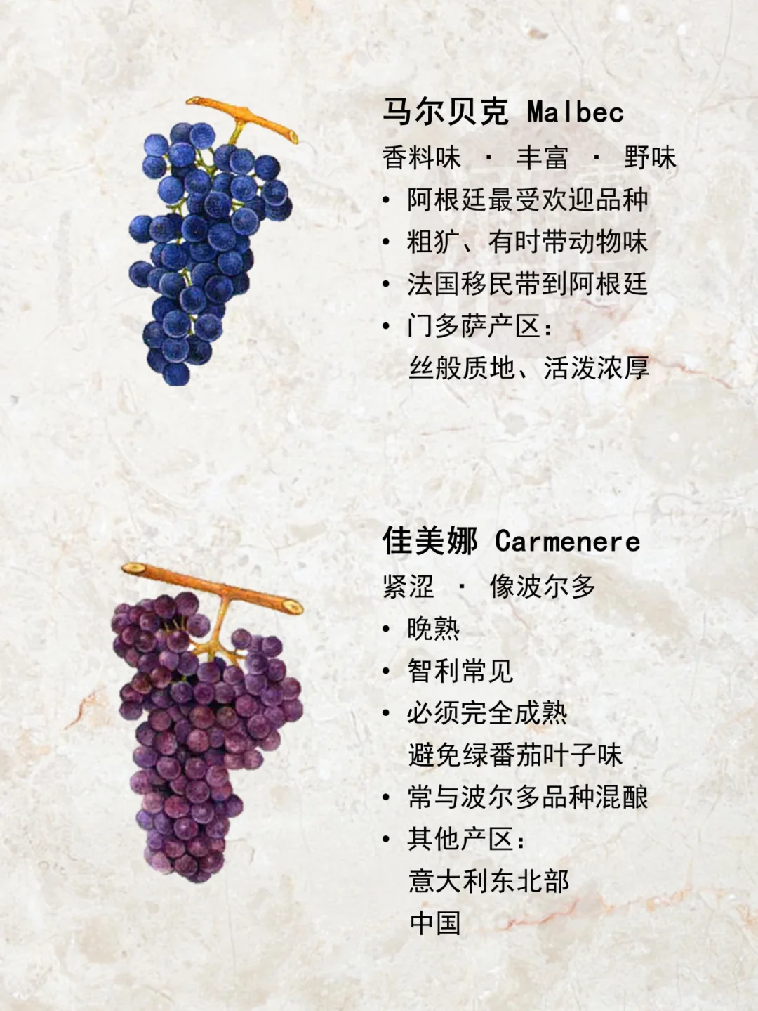 一图解读|世界15种著名酿酒葡萄品种?