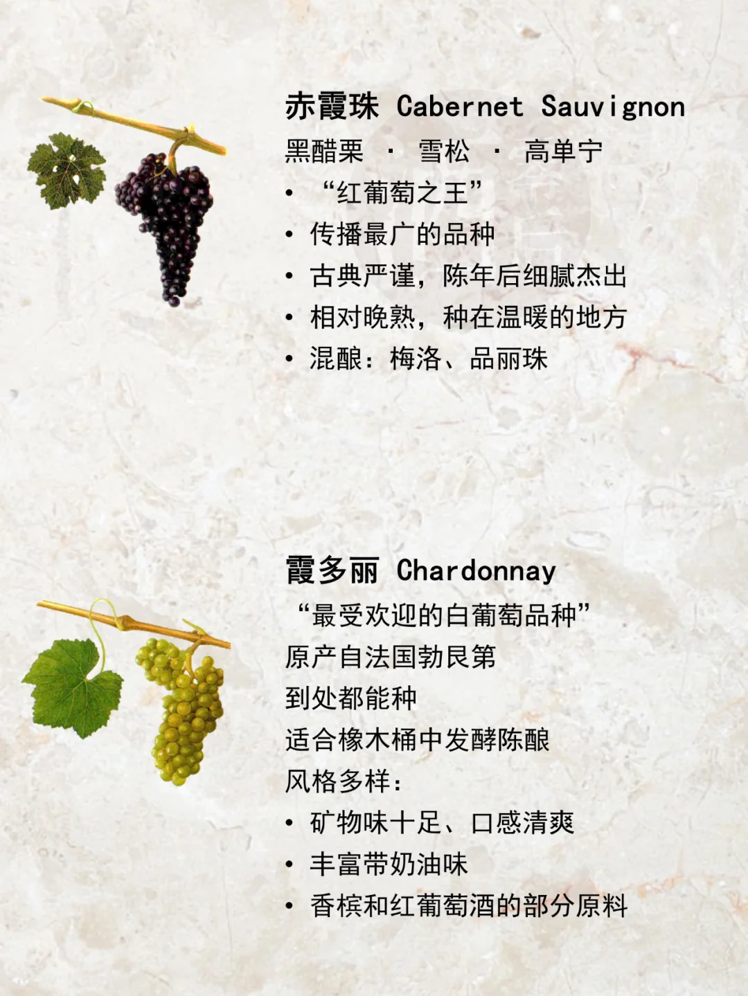 一图解读|世界15种著名酿酒葡萄品种?