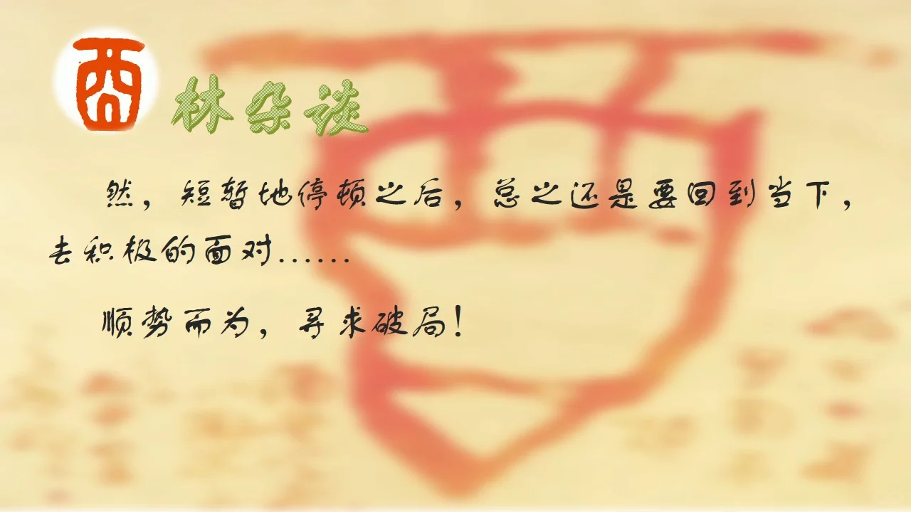 酉林杂谈 第17篇