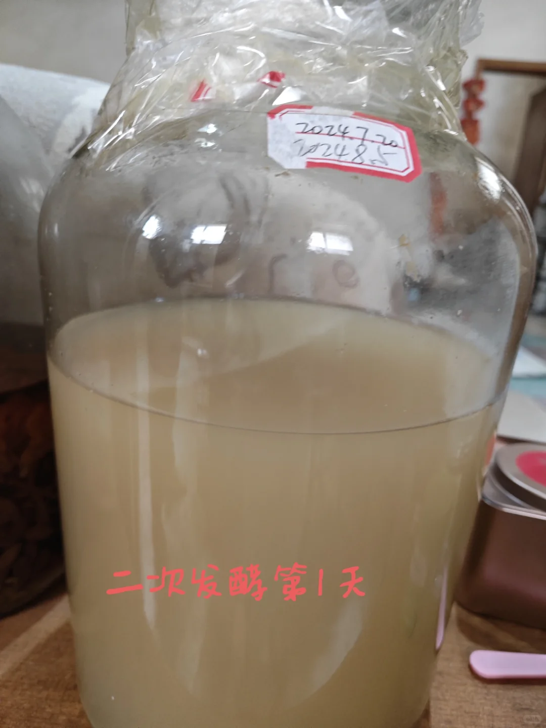 自制青皮葡萄酒