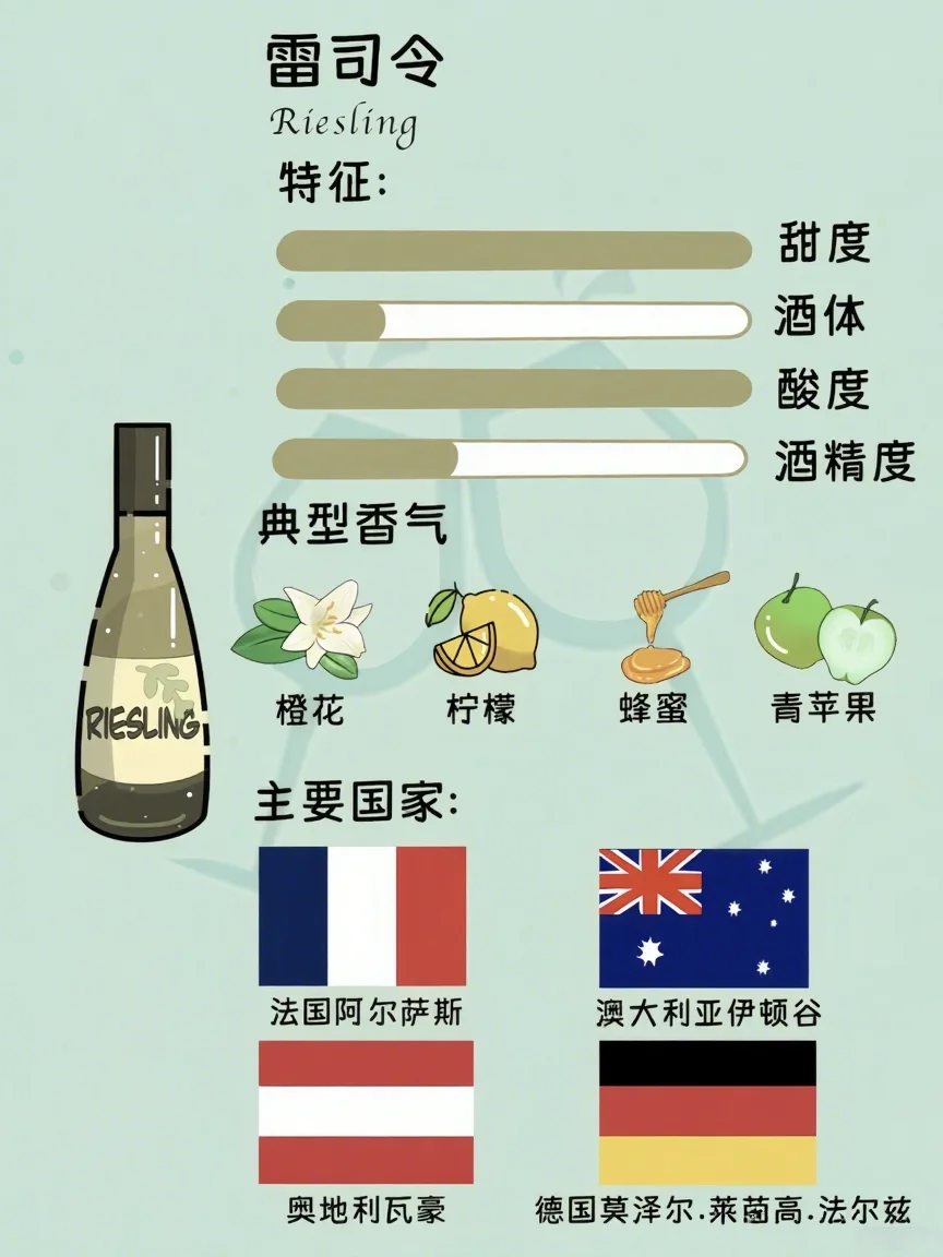 白葡萄酒品种图鉴✨ 一起秒变品鉴达人