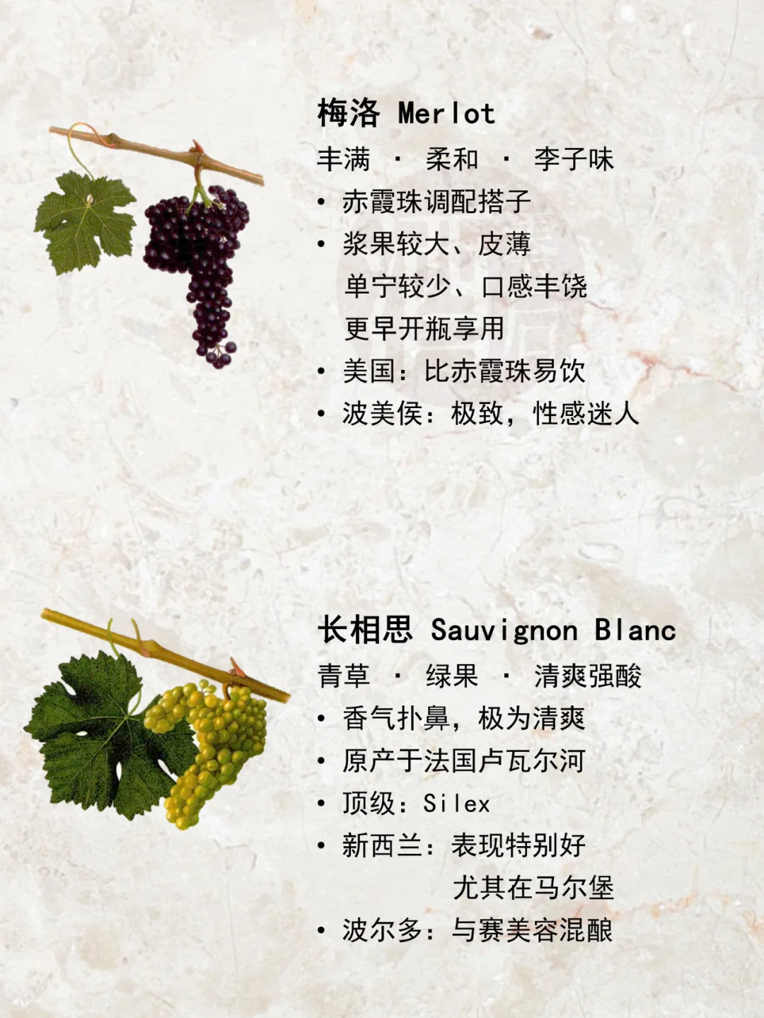 一图解读|世界15种著名酿酒葡萄品种?