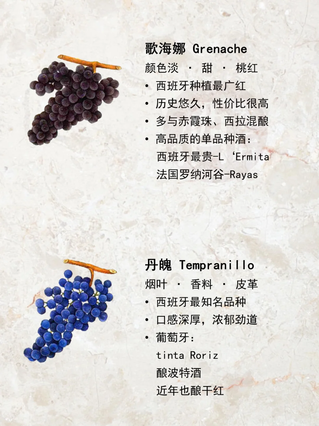 一图解读|世界15种著名酿酒葡萄品种?