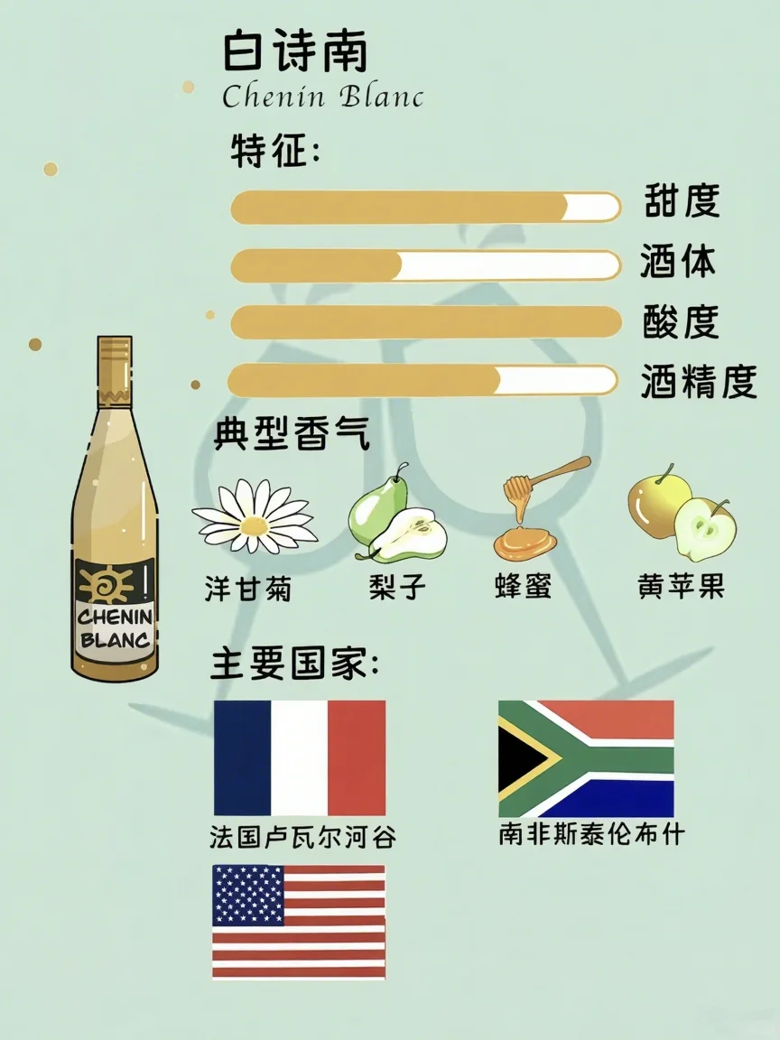 白葡萄酒品种图鉴✨ 一起秒变品鉴达人