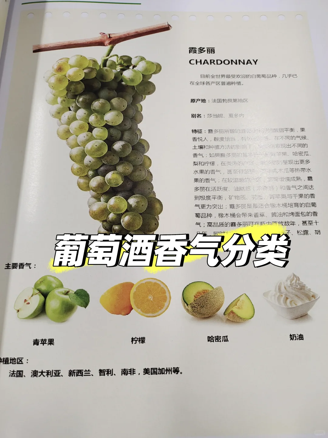 品鉴葡萄酒时如何形容香气