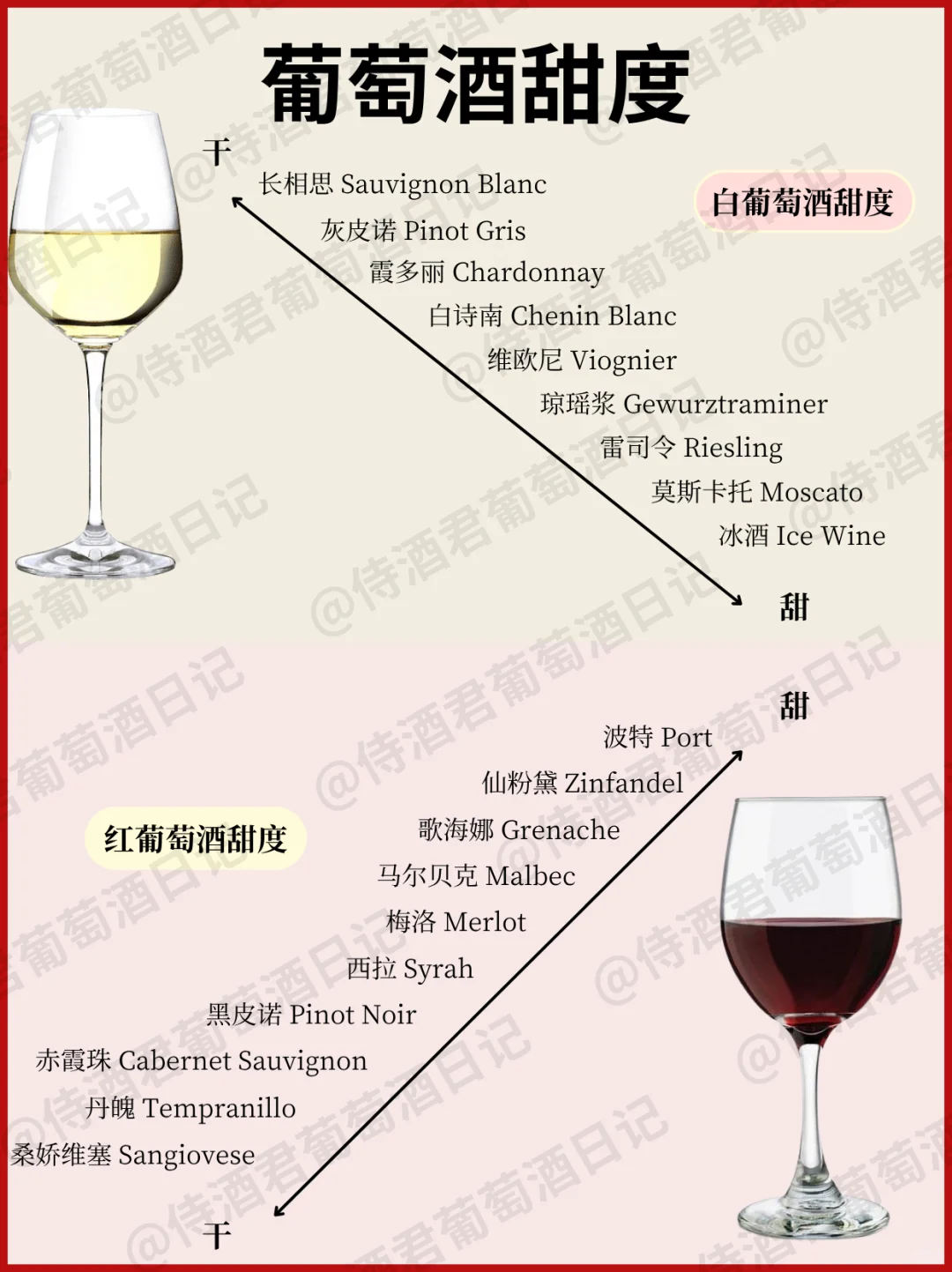 吐血整理❗ 葡萄酒入门看这篇就够‼️超全
