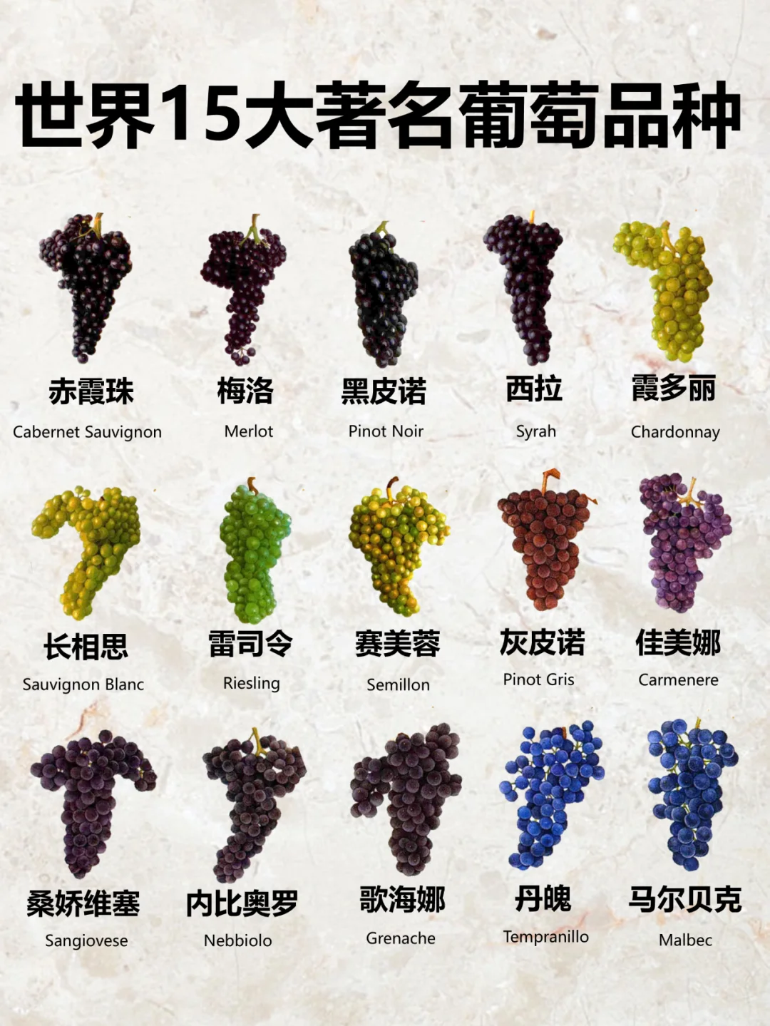 一图解读|世界15种著名酿酒葡萄品种?