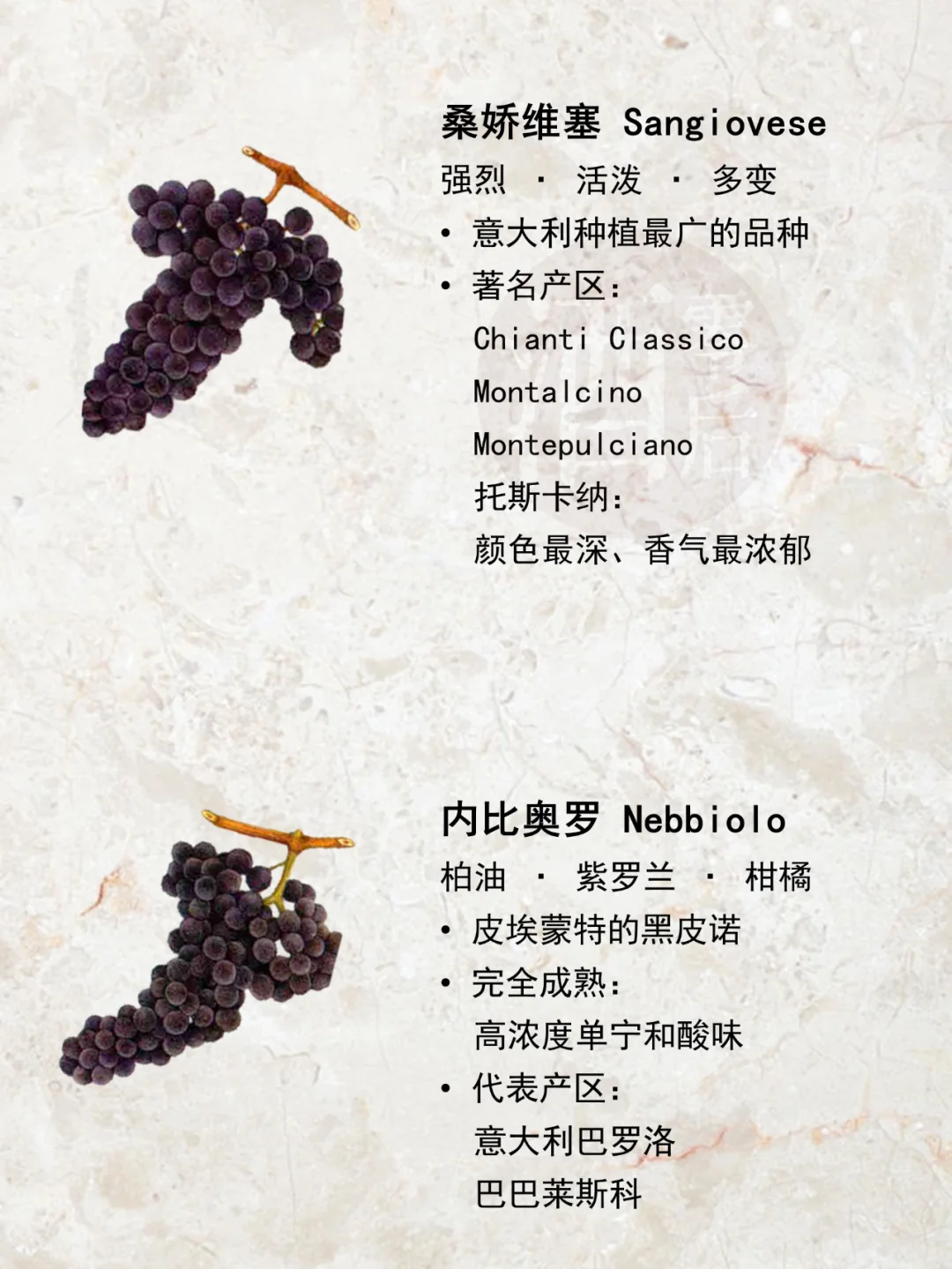 一图解读|世界15种著名酿酒葡萄品种?