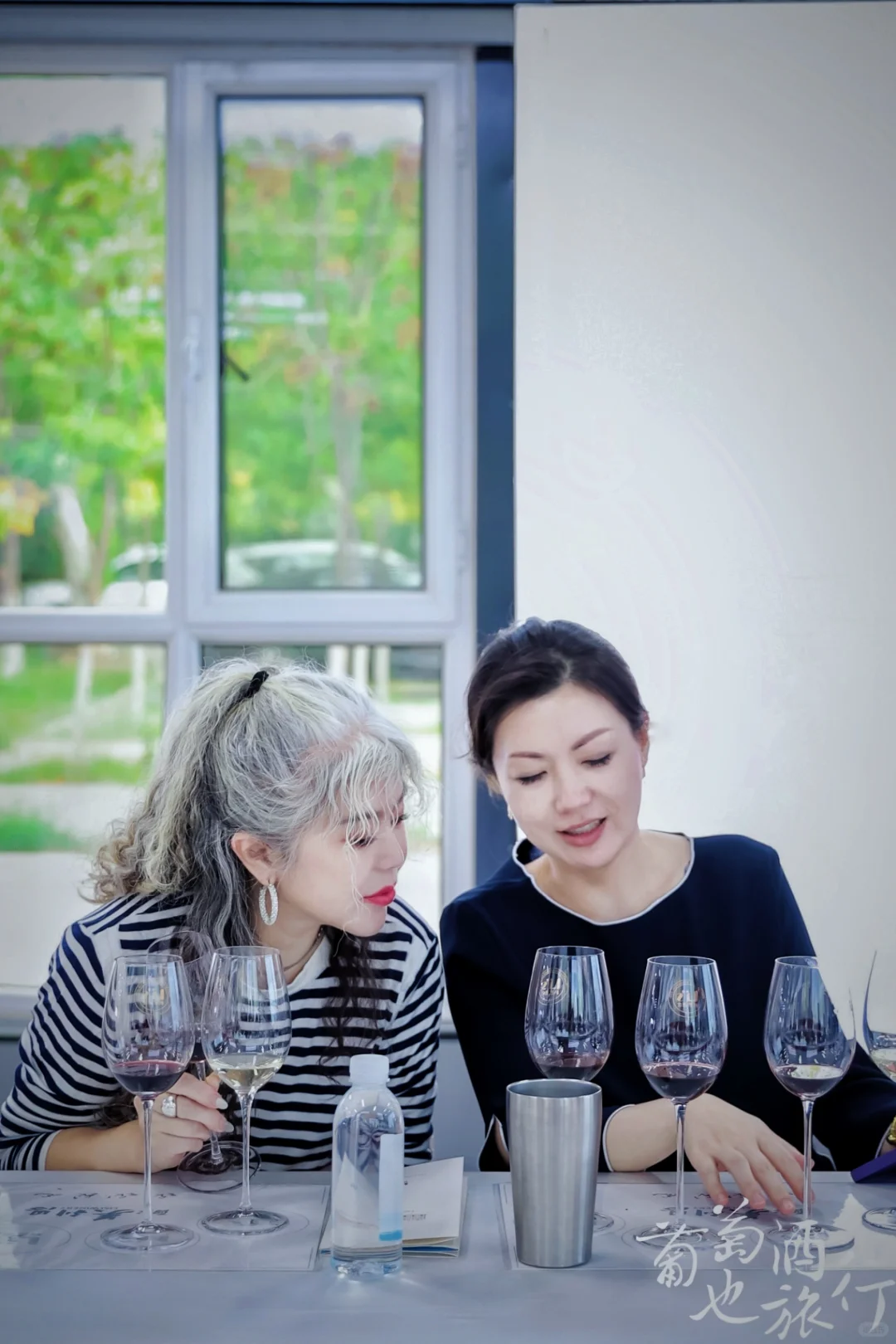 贺兰山东麓?酒庄探访