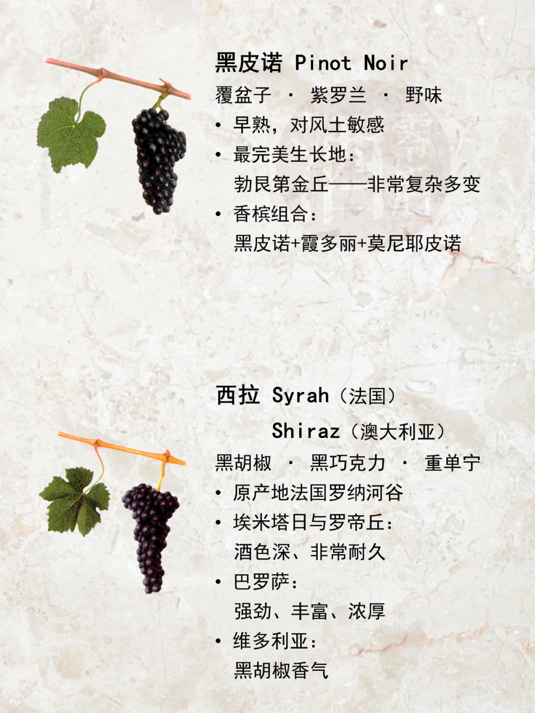 一图解读|世界15种著名酿酒葡萄品种?
