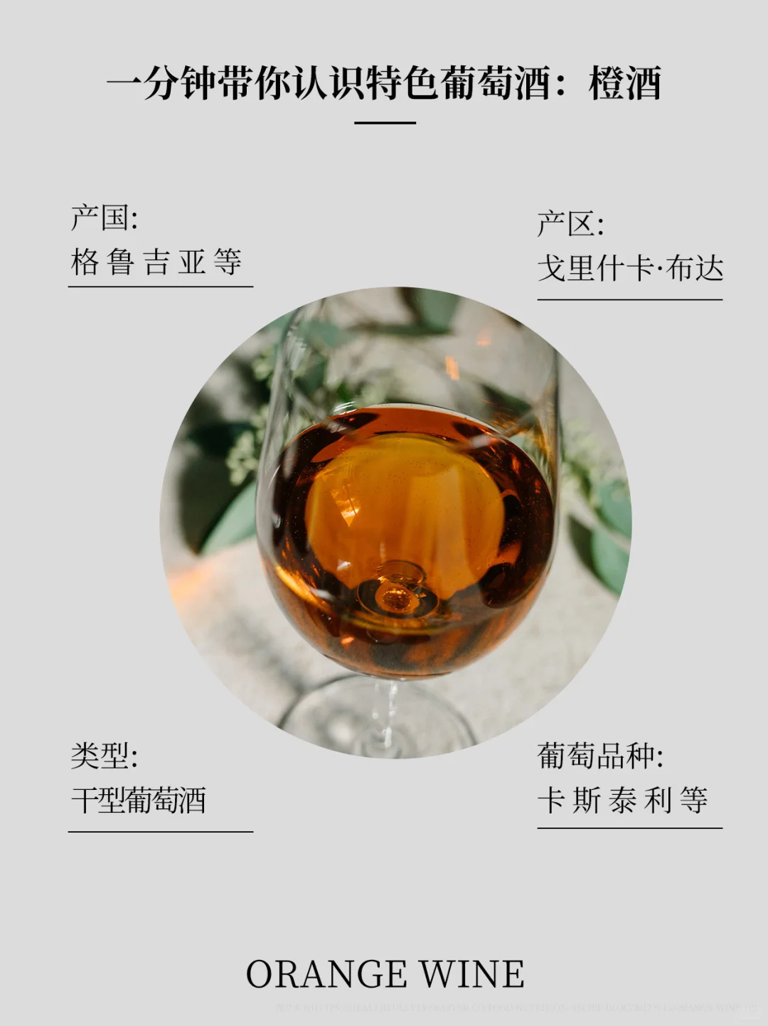 一分钟带你认识特色葡萄酒：橙酒
