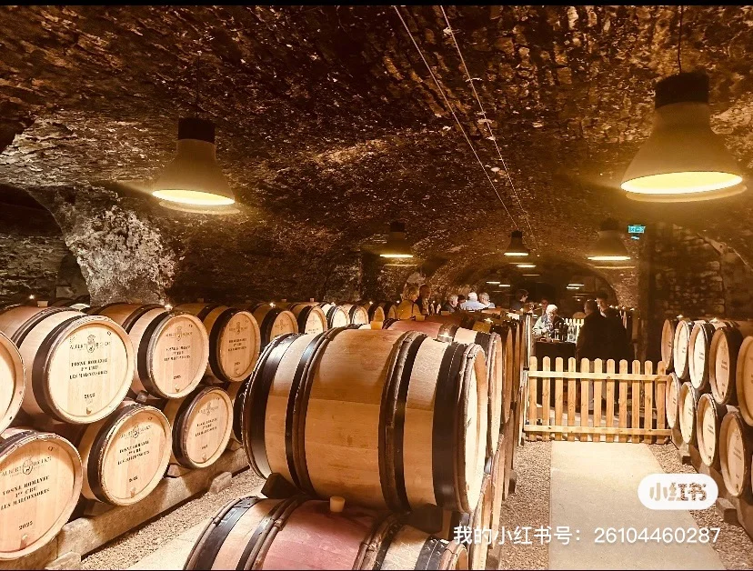 招聘私人酒窖管理员