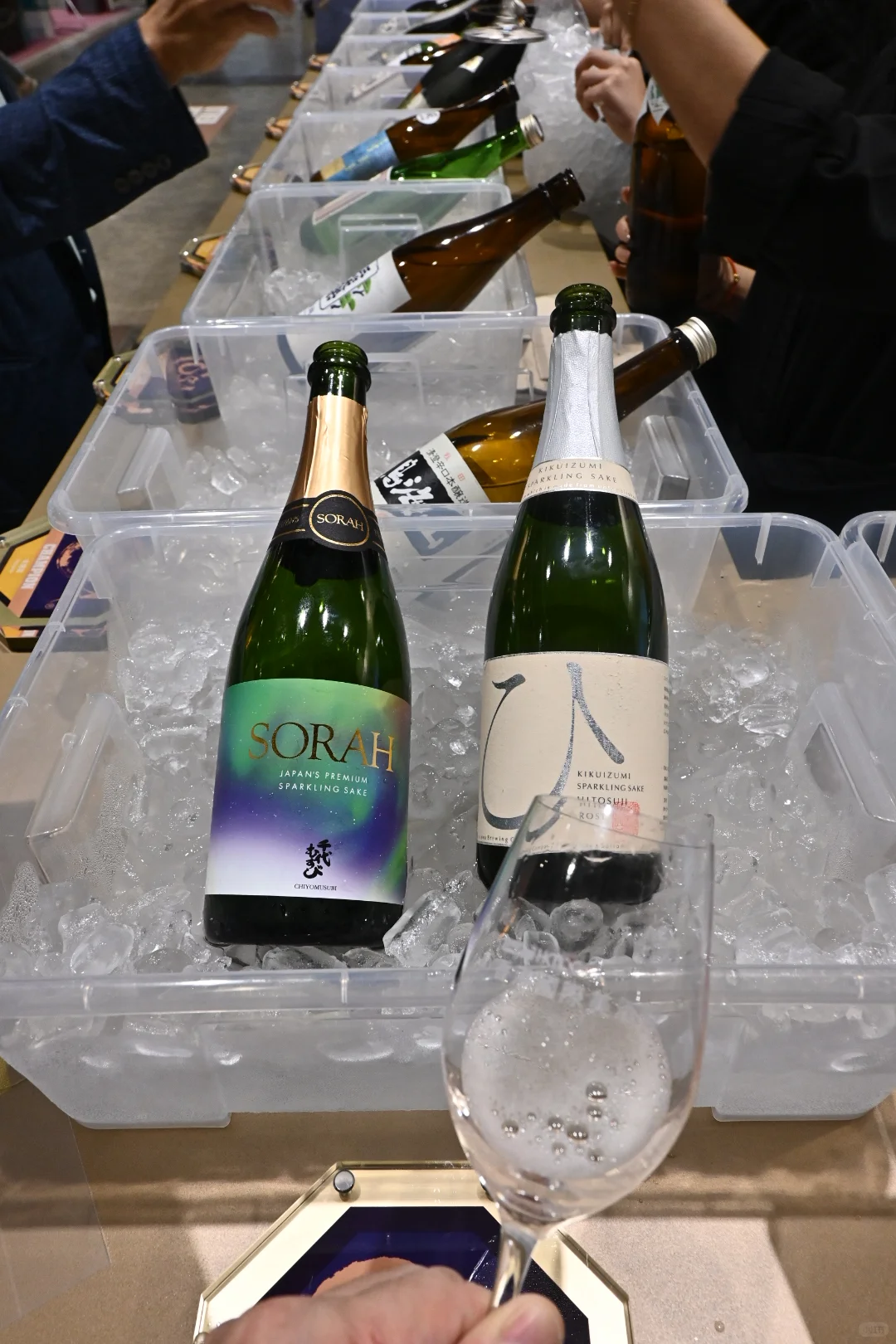 香港國際美酒展開幕！