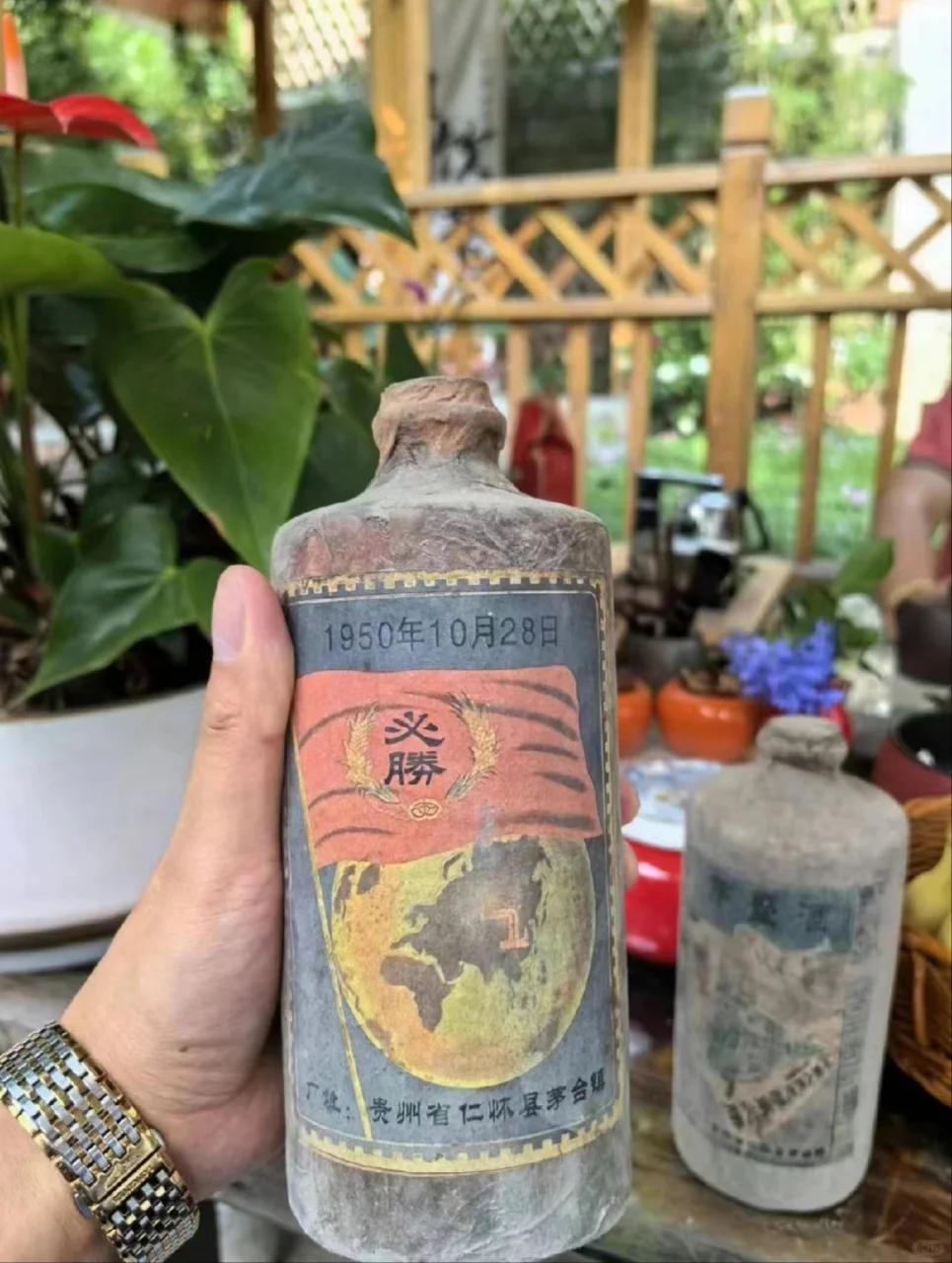 什么样的酒好喝又实惠？