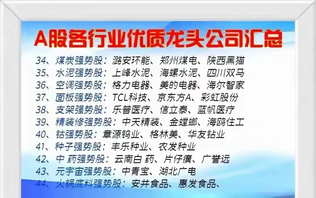 中国股市核心竞争力企业