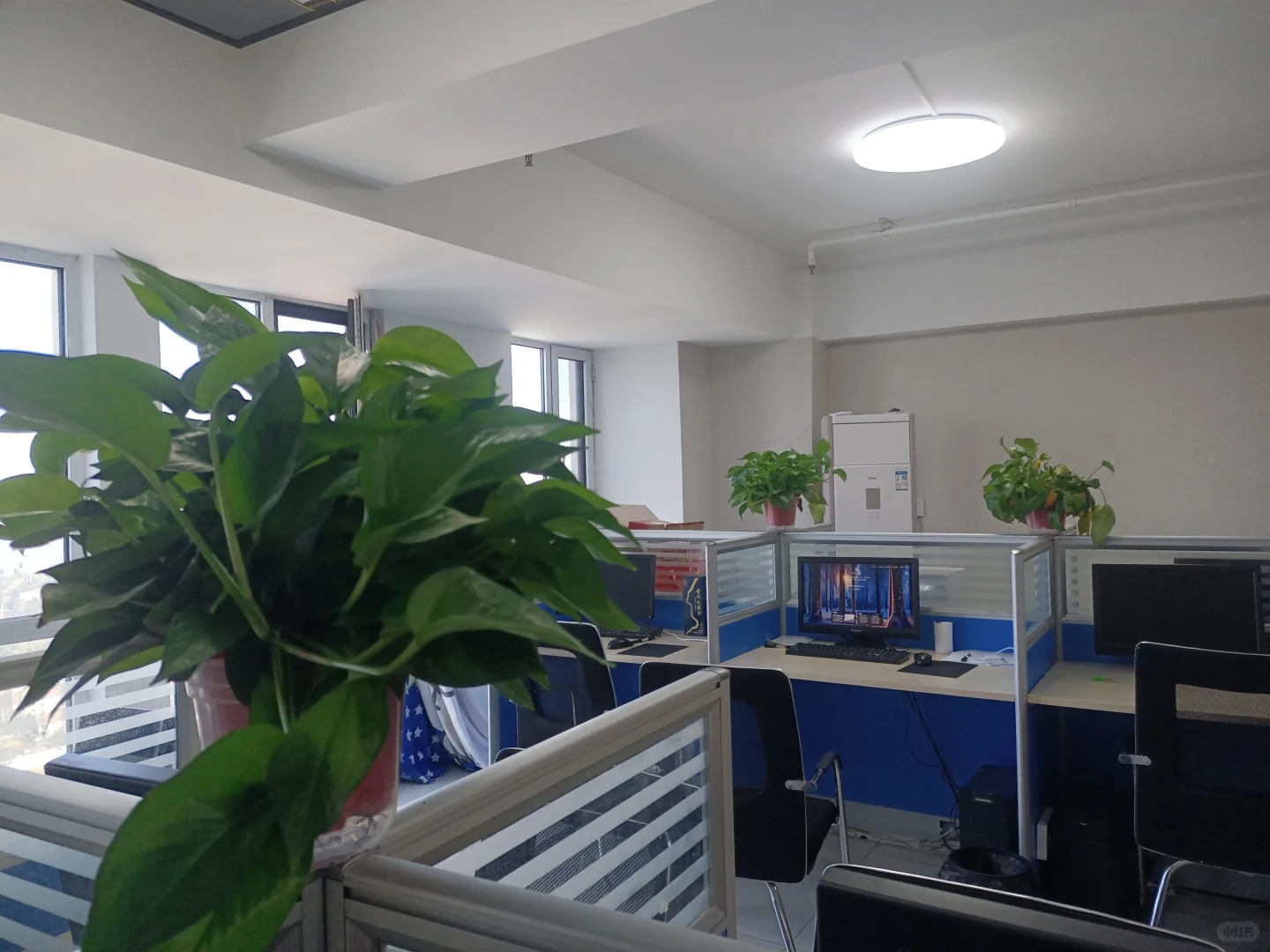 石家庄长安区还有没上班的吗？