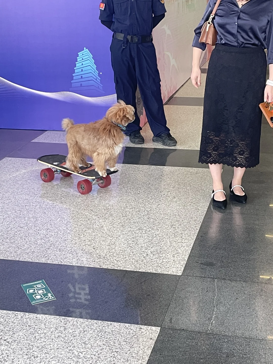 我的展台啦～???