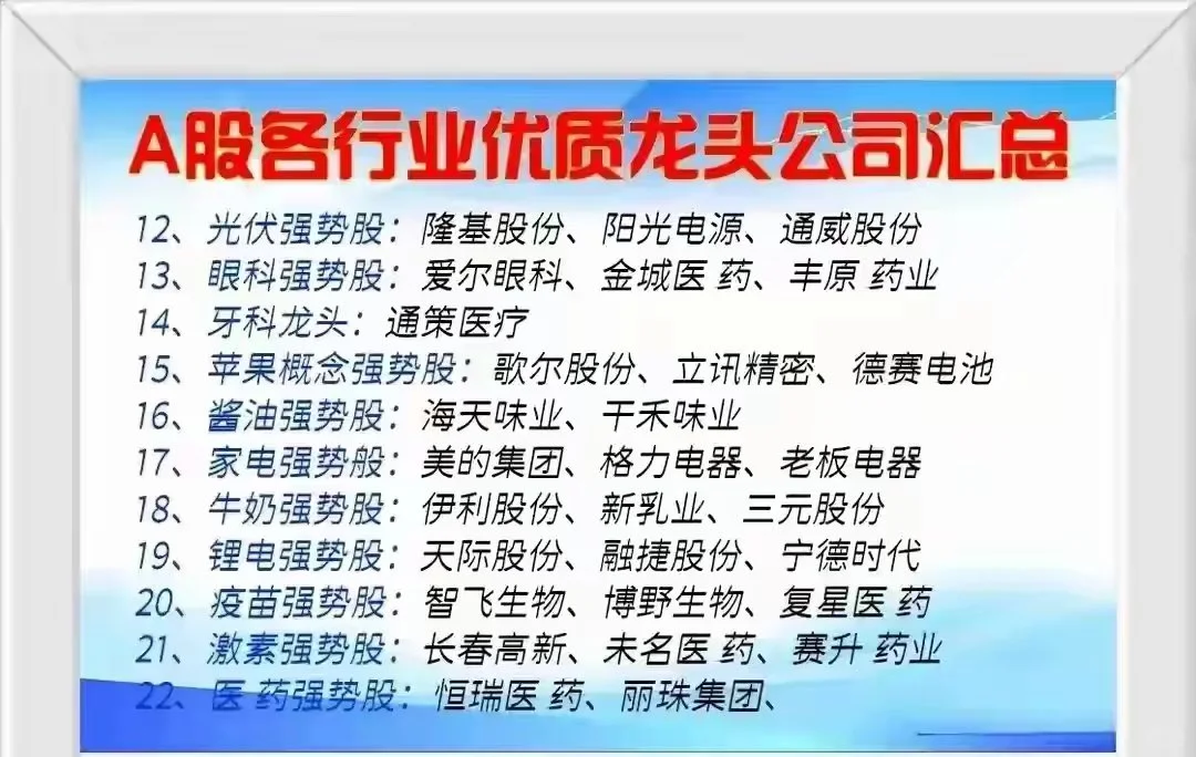 中国股市核心竞争力企业