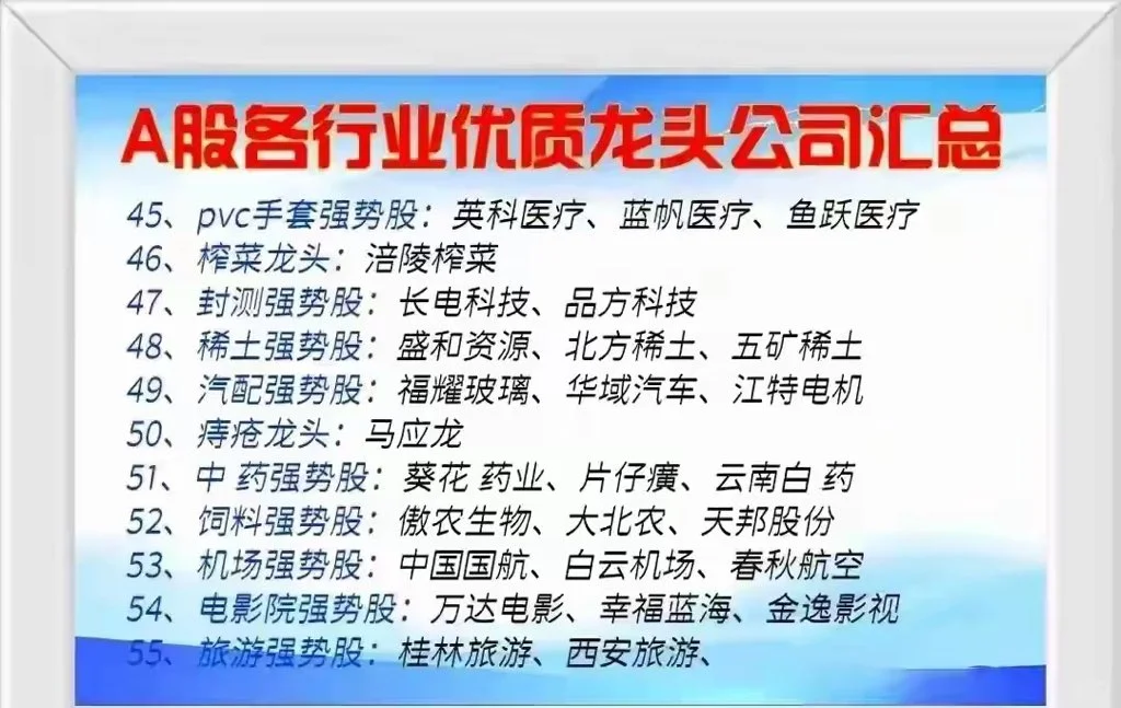 中国股市核心竞争力企业