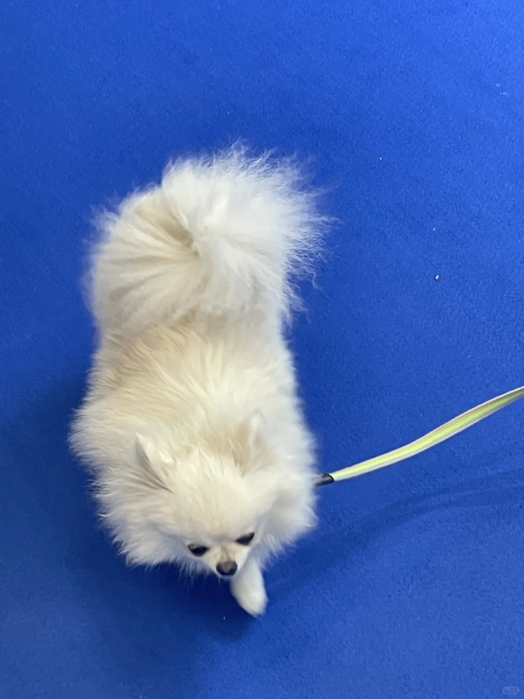 我的展台啦～???