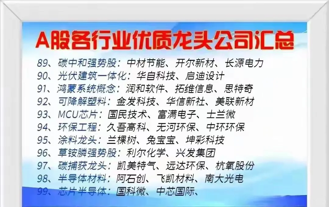 中国股市核心竞争力企业