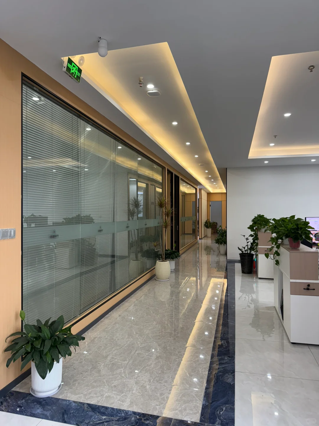 重生之俺在合肥做跨境