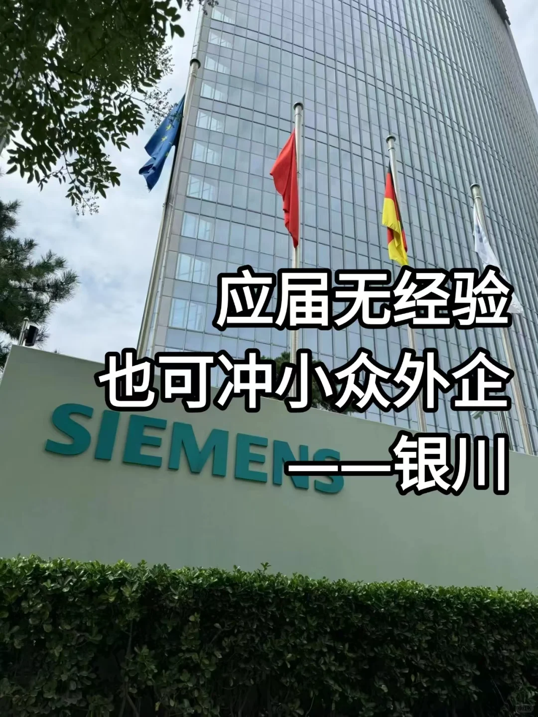 应届生无经验也可冲小众外企——银川