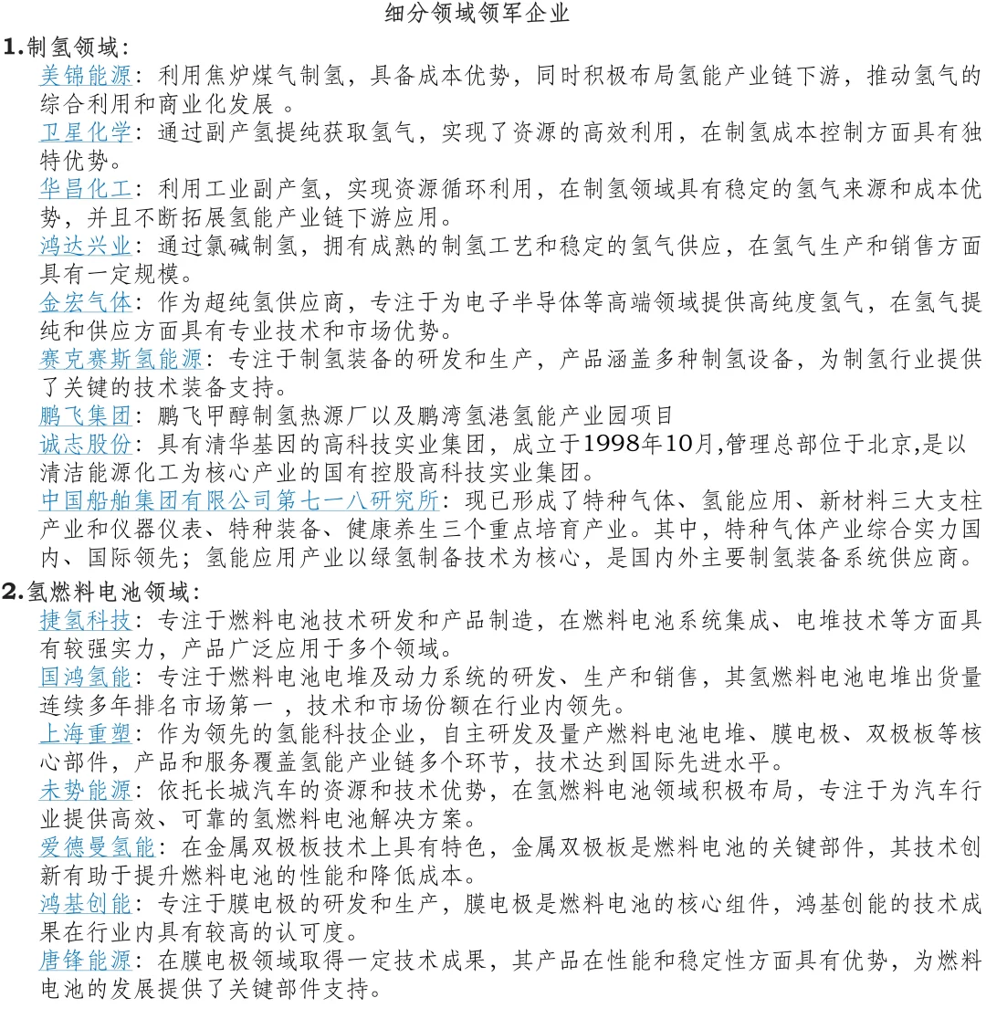 国内氢能行业企业（不全面）