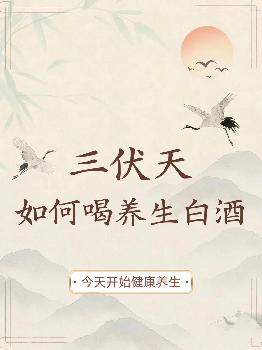 三伏天如何喝养生白酒