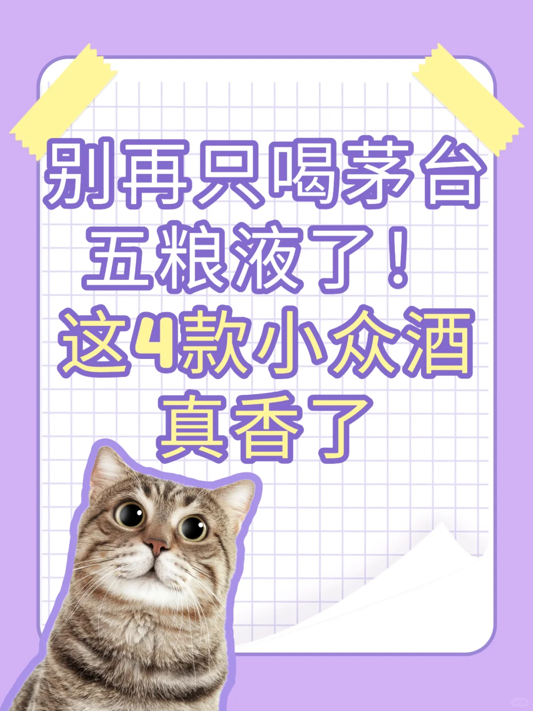 喝腻大牌白酒？这 4 款小众酒让我疯狂囤货！