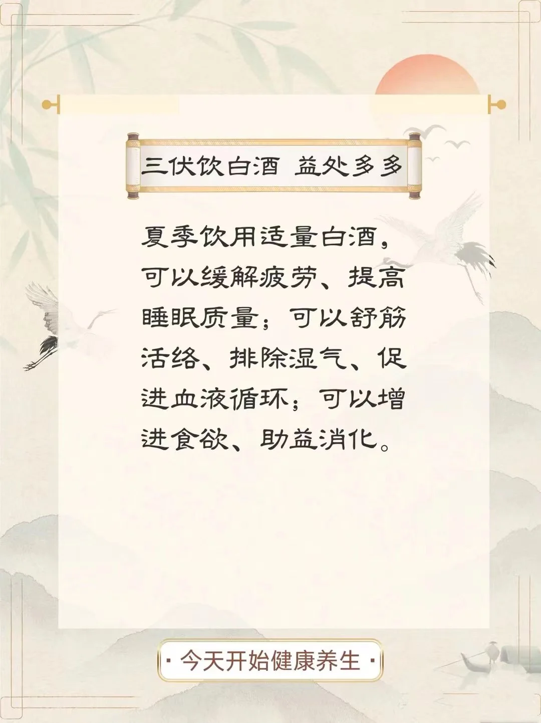 三伏天如何喝养生白酒