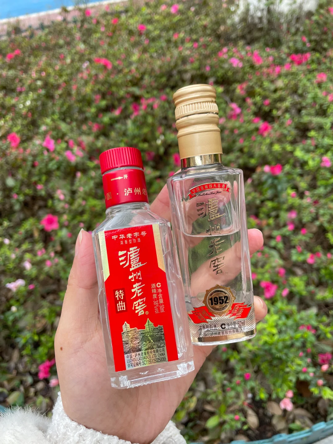 一分钟，用白酒打造春日限定饮品