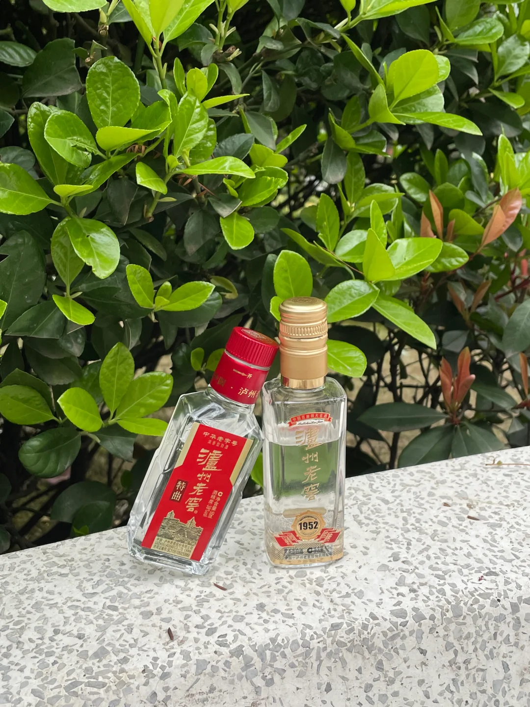 一分钟，用白酒打造春日限定饮品
