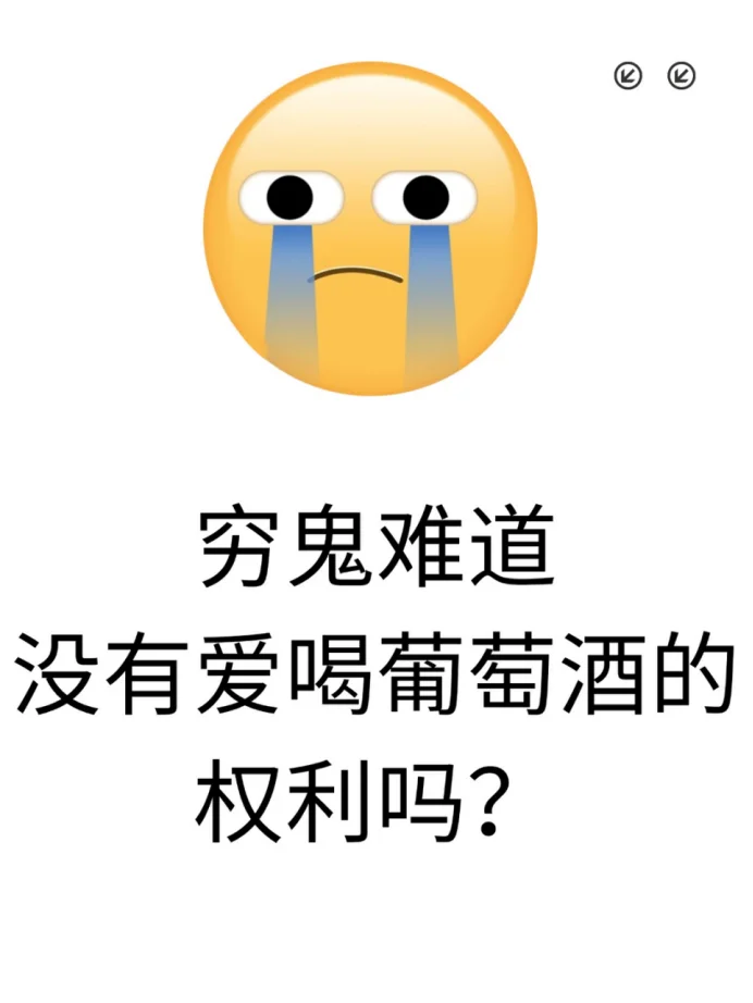 穷鬼就不能喝葡萄酒吗