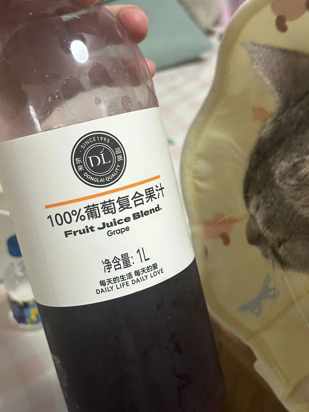 懒人版葡萄酒